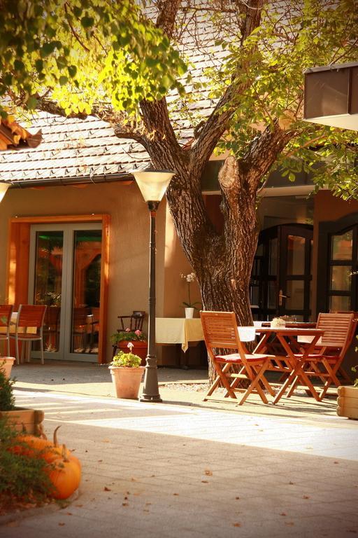 Gostilna Zolnir Hotel Kostanjevica na Krki Exterior foto